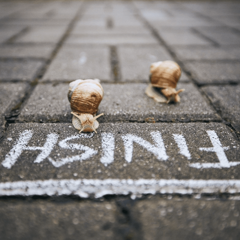 Managing Projects from Start to Finish
